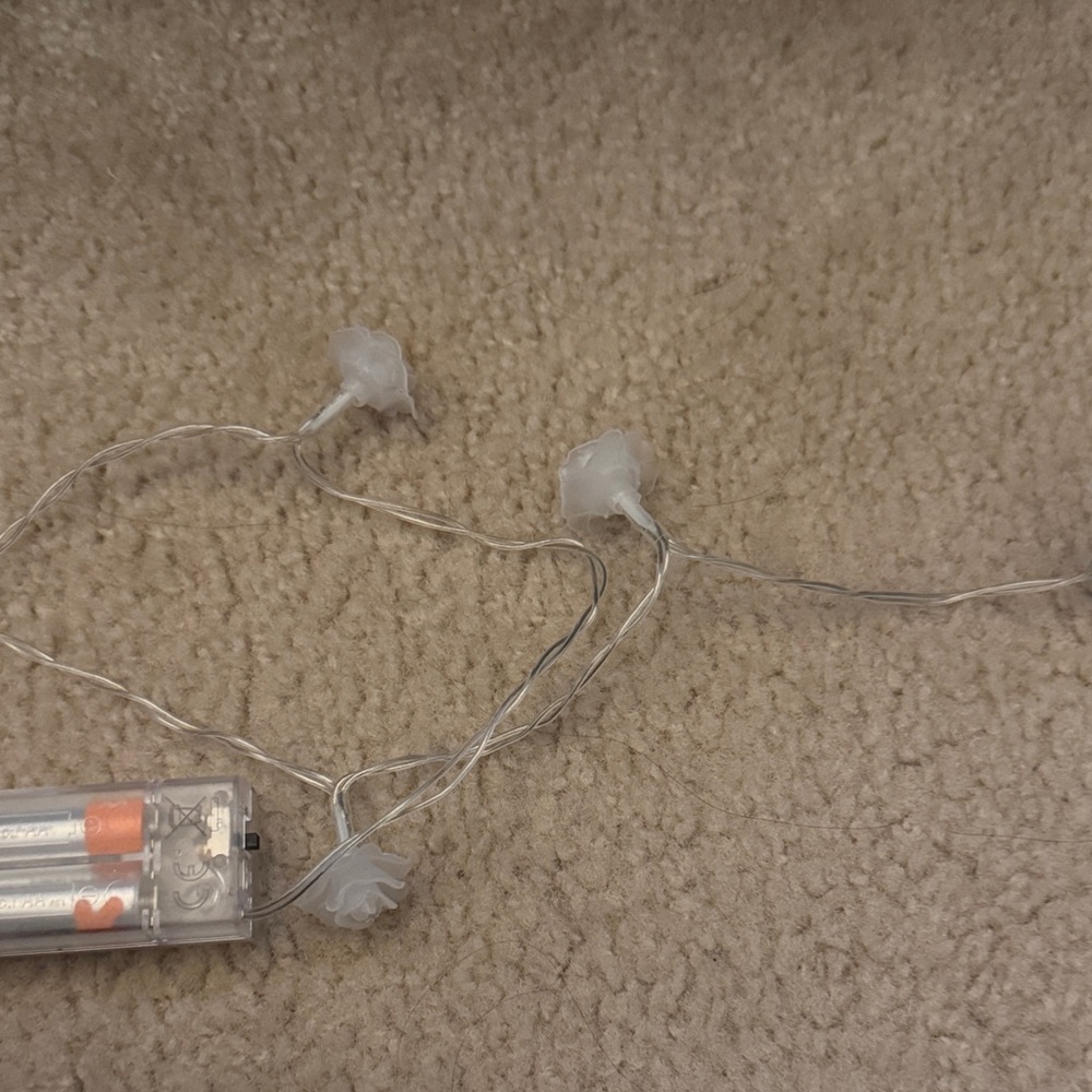 Rose String Lights - Picture 2 of 4